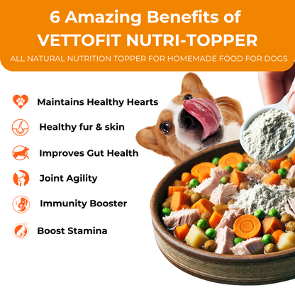 Vettofit Nutri-topper for homemade food for dogs | Everyday Balanced Nutrition for Dogs - VETTOFIT