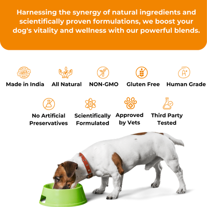 Vettofit Nutri-topper for homemade food for dogs | Everyday Balanced Nutrition for Dogs - VETTOFIT